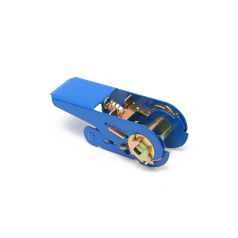 1 اینچ 25 میلی متر*500 کیلوگرم/1100 پوند آبی سگک کوچک