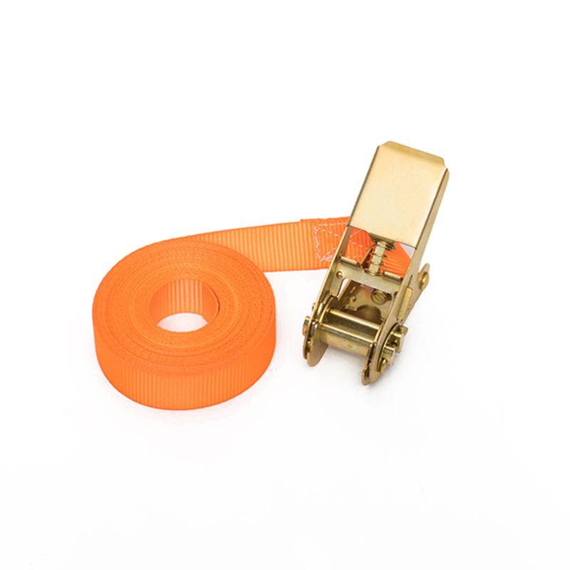 1 اینچ 25 میلی متر*500 کیلوگرم/800 کیلوگرم بند حلقه بی پایان