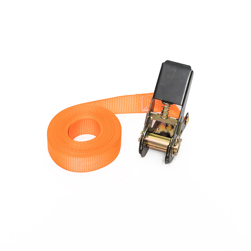 1 اینچ 25 میلی متر*500 کیلوگرم/800 کیلوگرم بند حلقه بی پایان