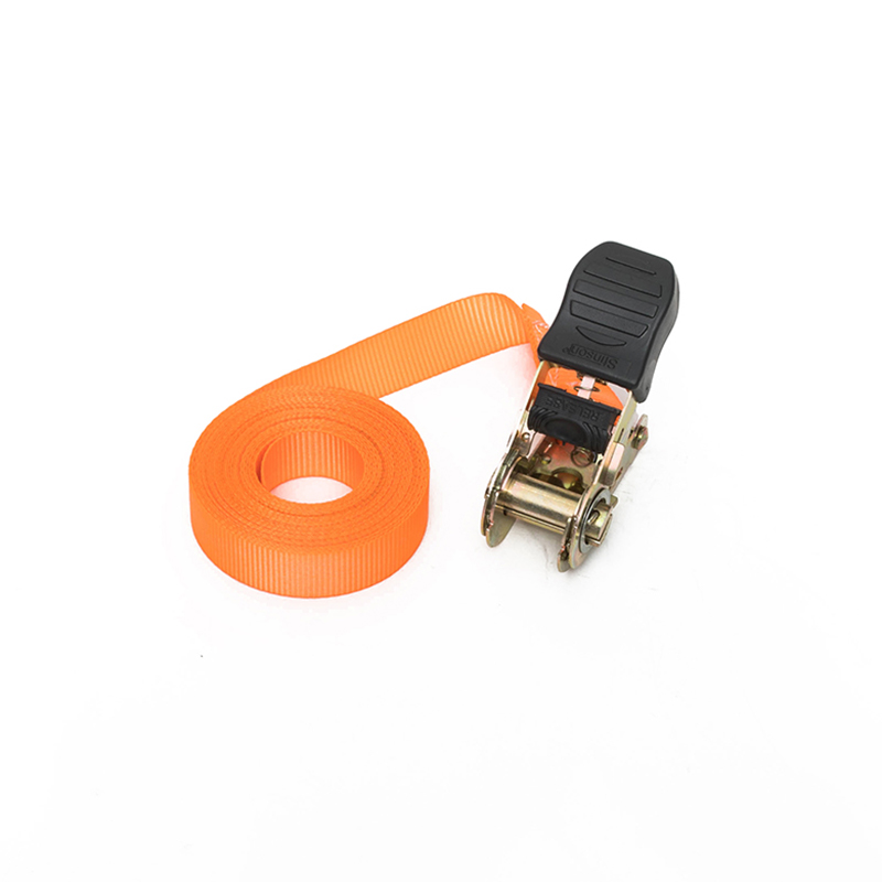 1 اینچ 25 میلی متر*500 کیلوگرم/800 کیلوگرم بند حلقه بی پایان